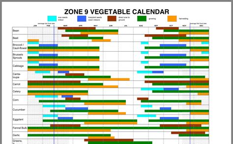 Zone 9a Planting Calendar